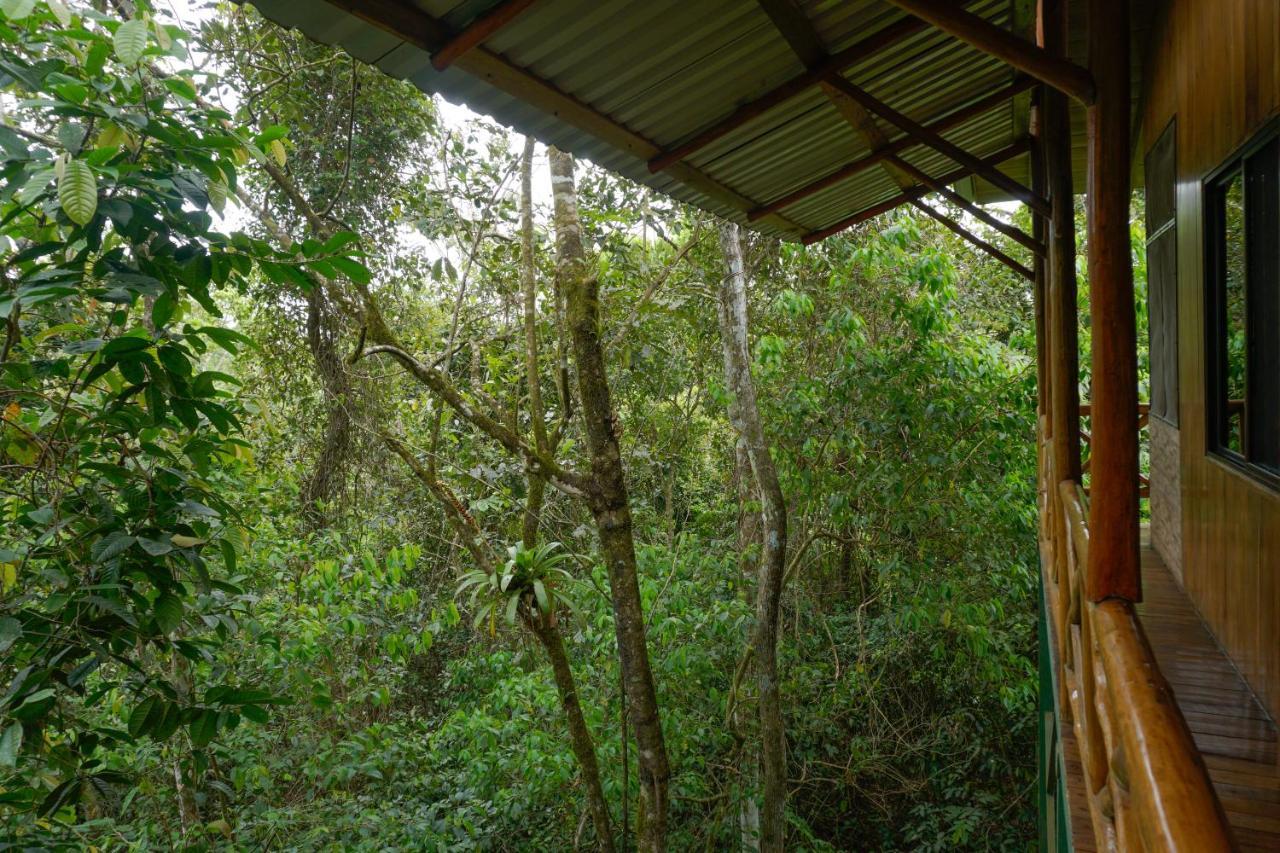 Tree Houses Hotel Costa Rica Florencia Exterior foto