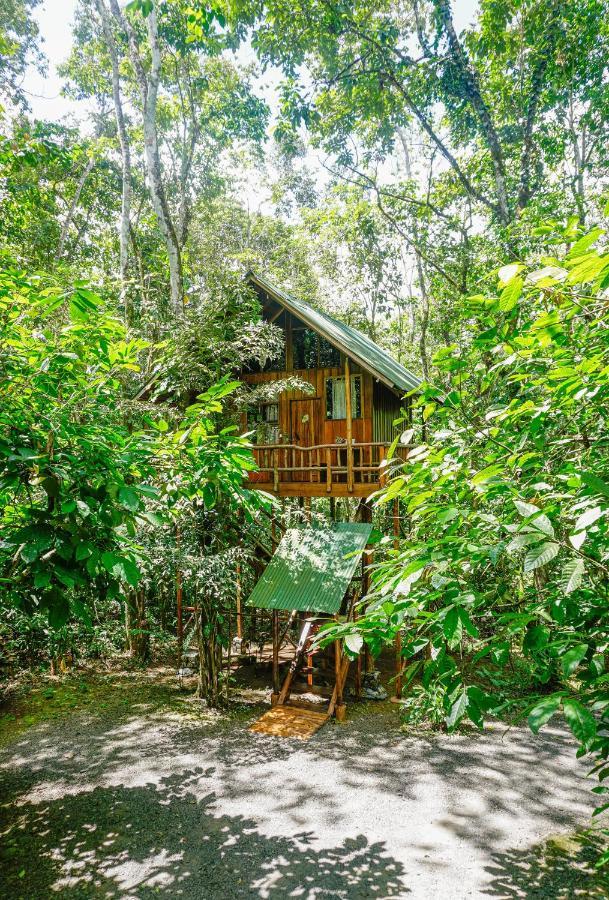 Tree Houses Hotel Costa Rica Florencia Exterior foto