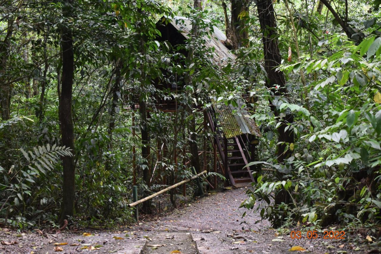 Tree Houses Hotel Costa Rica Florencia Exterior foto
