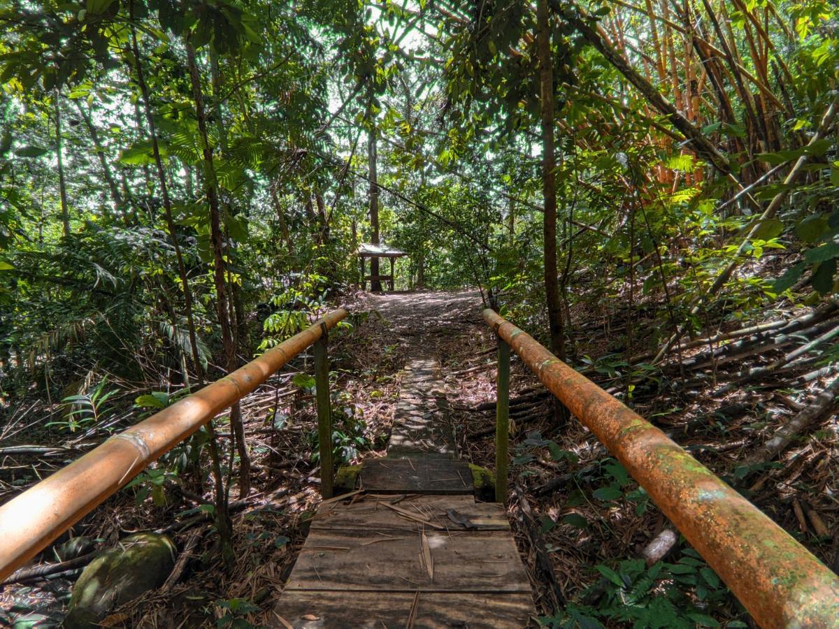 Tree Houses Hotel Costa Rica Florencia Exterior foto