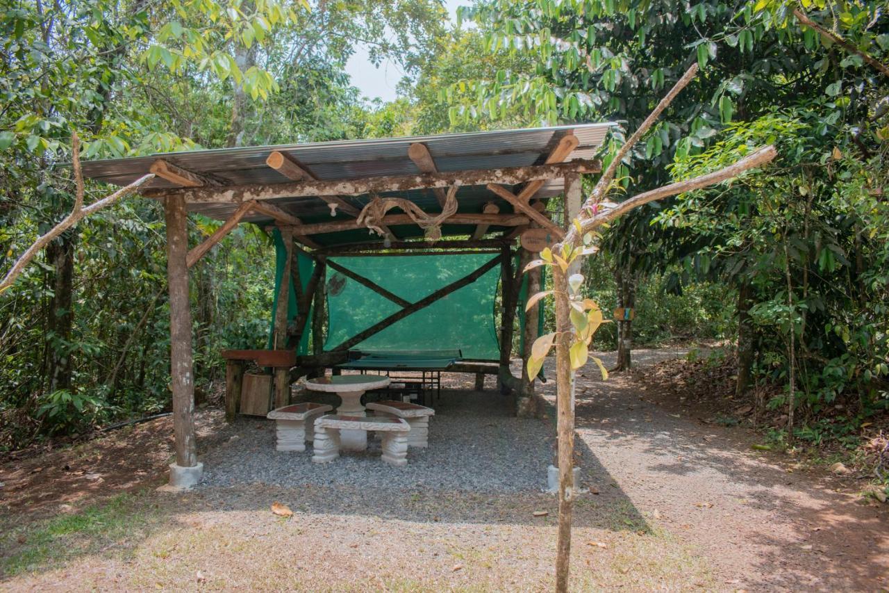 Tree Houses Hotel Costa Rica Florencia Exterior foto
